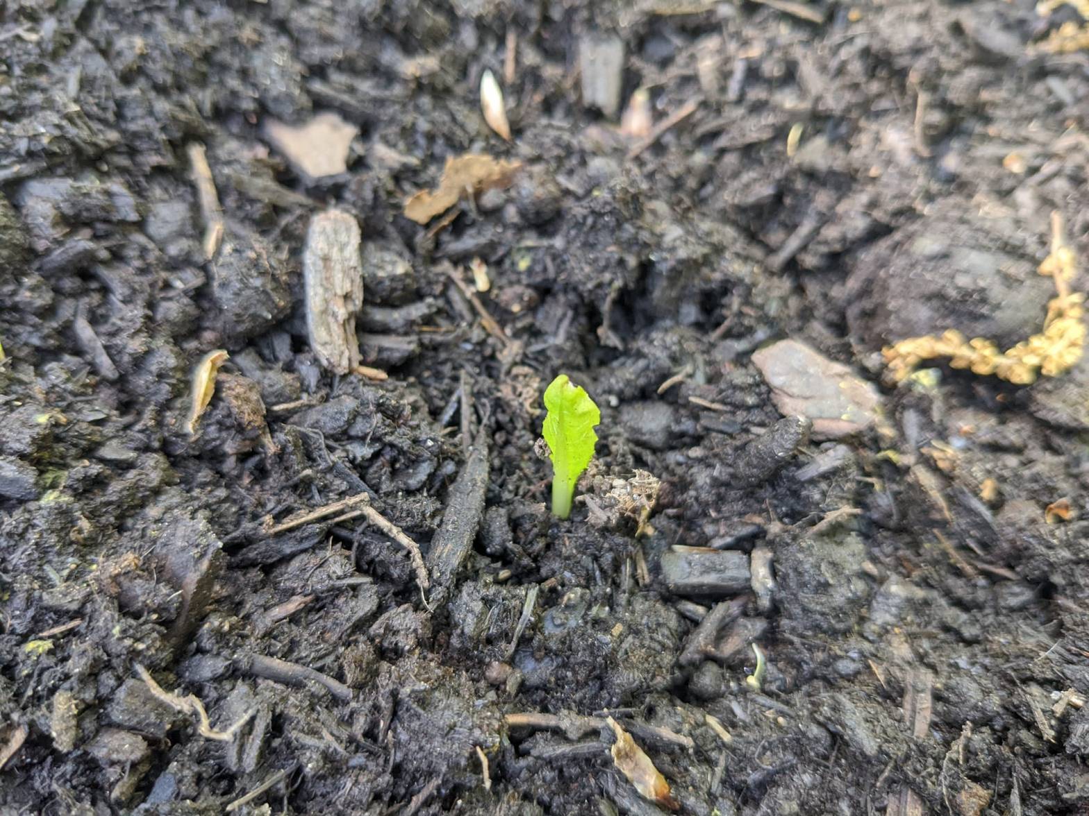 Past – Present –&nbsp;Future