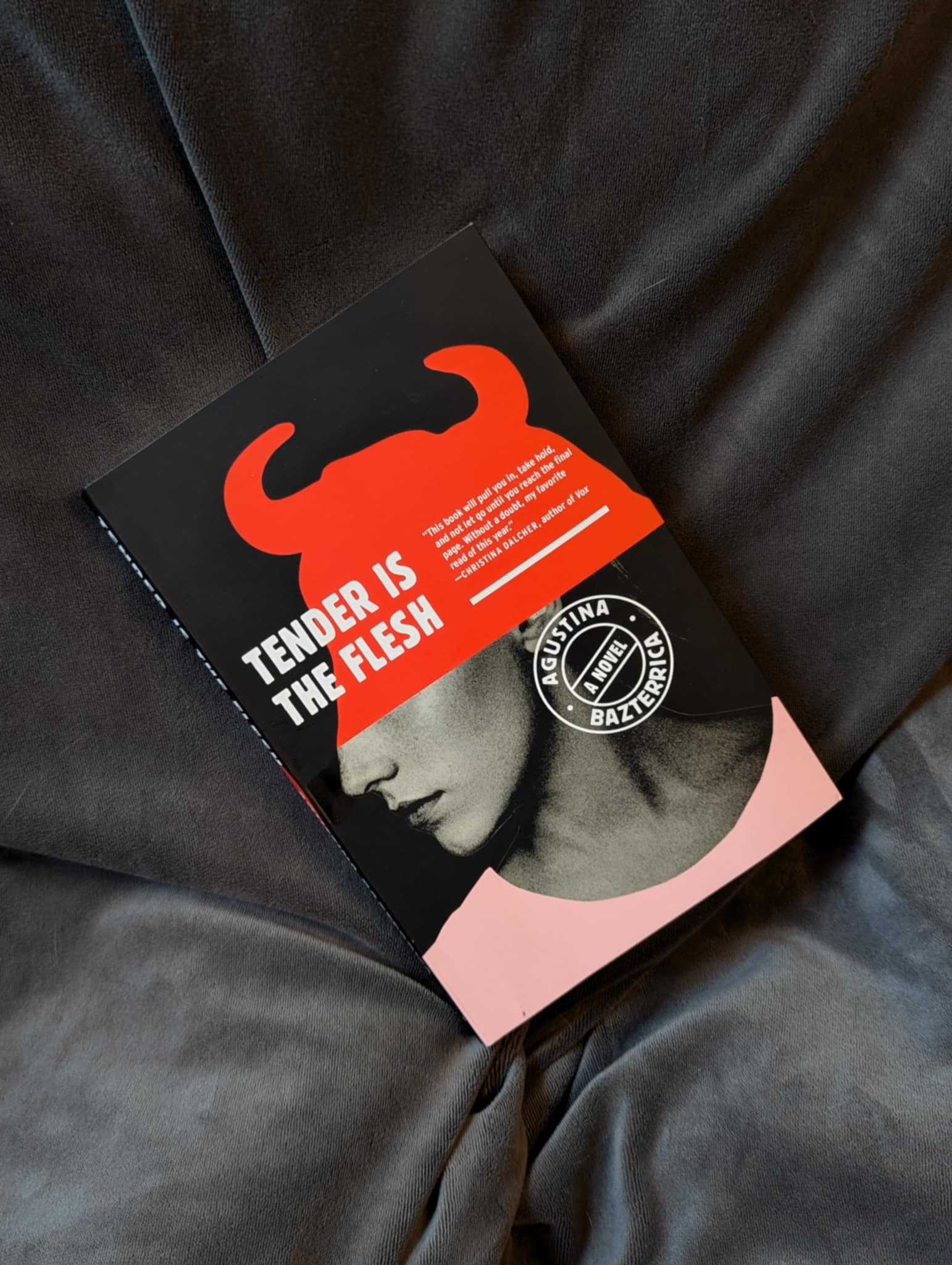 Exploring Morality in Dystopian Fiction: Tender is the&nbsp;Flesh